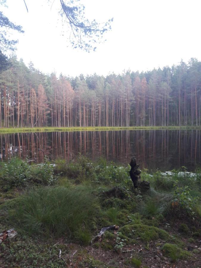 Lake Apartment Visaginas Kültér fotó