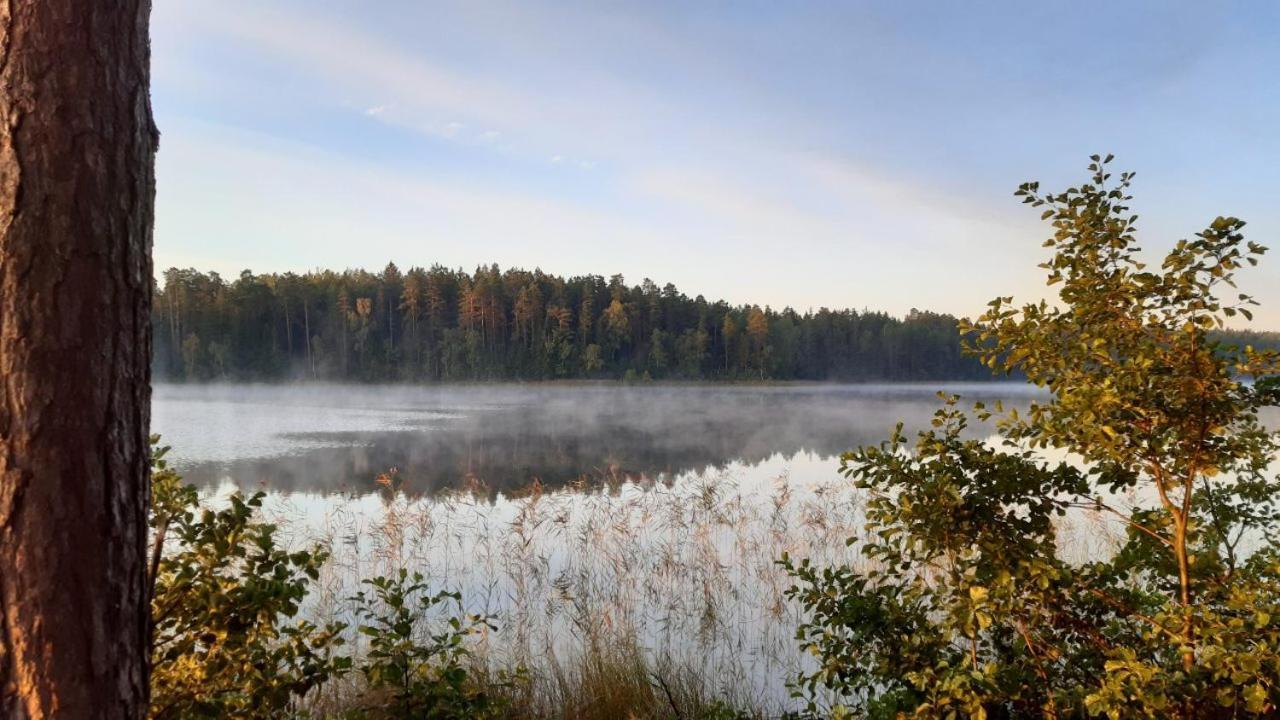 Lake Apartment Visaginas Kültér fotó